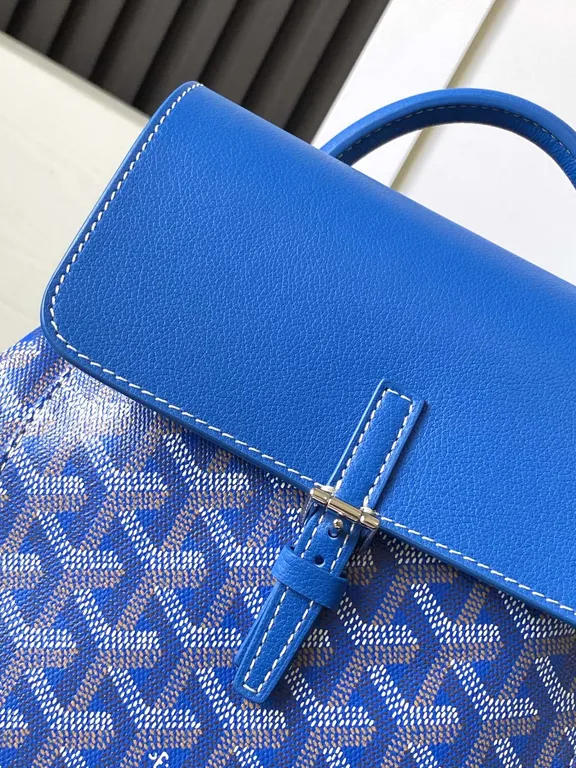 Goyard Bag 